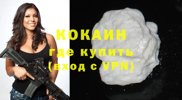 дмт Богданович