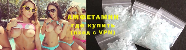 дмт Богданович
