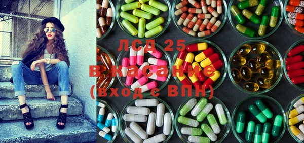 дмт Богданович