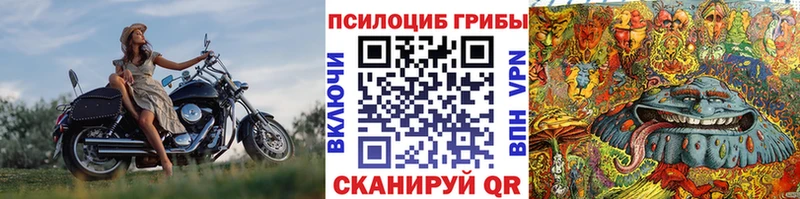 как найти закладки  Дятьково  Галлюциногенные грибы Cubensis 