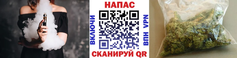 дарнет шоп  Дятьково  Бошки Шишки MAZAR 